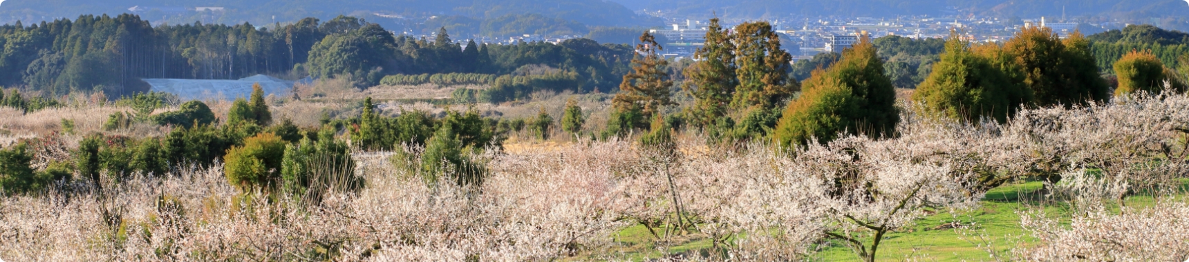 伊万里の風景
